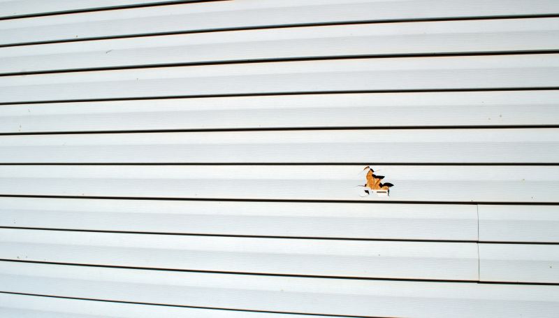 Siding Repair Finish